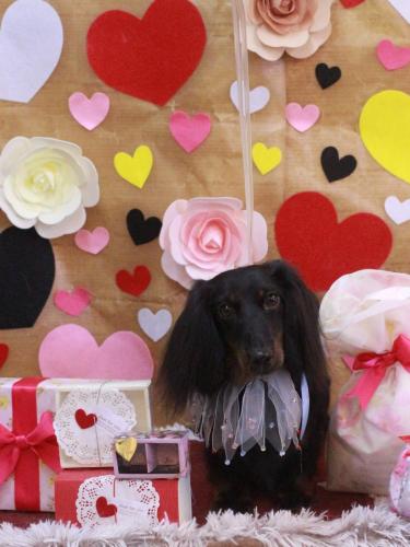 20230228小太郎くん